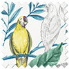 Iquitos, Multi - Made to Measure Curtains